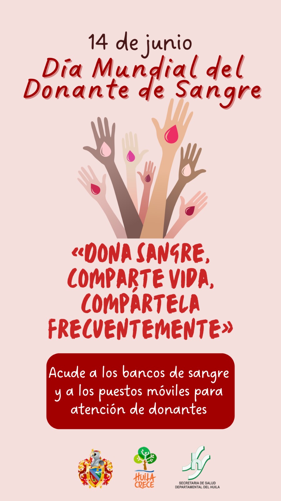 Hoy Se Conmemora El Día Mundial Del Donante De Sangre Tsm Noticias